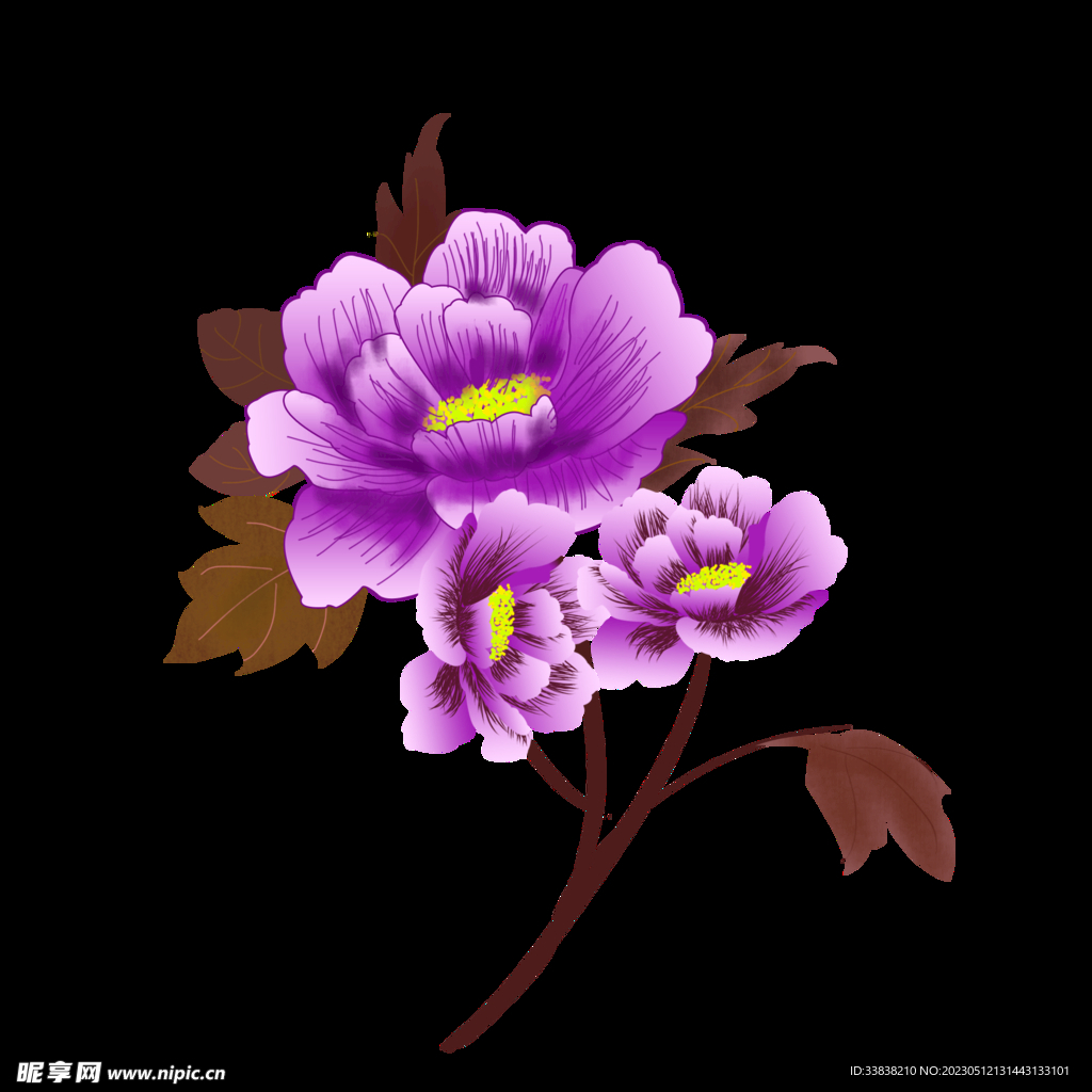 牡丹花
