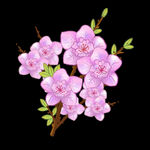 花卉