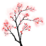 梅花 