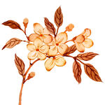花草 