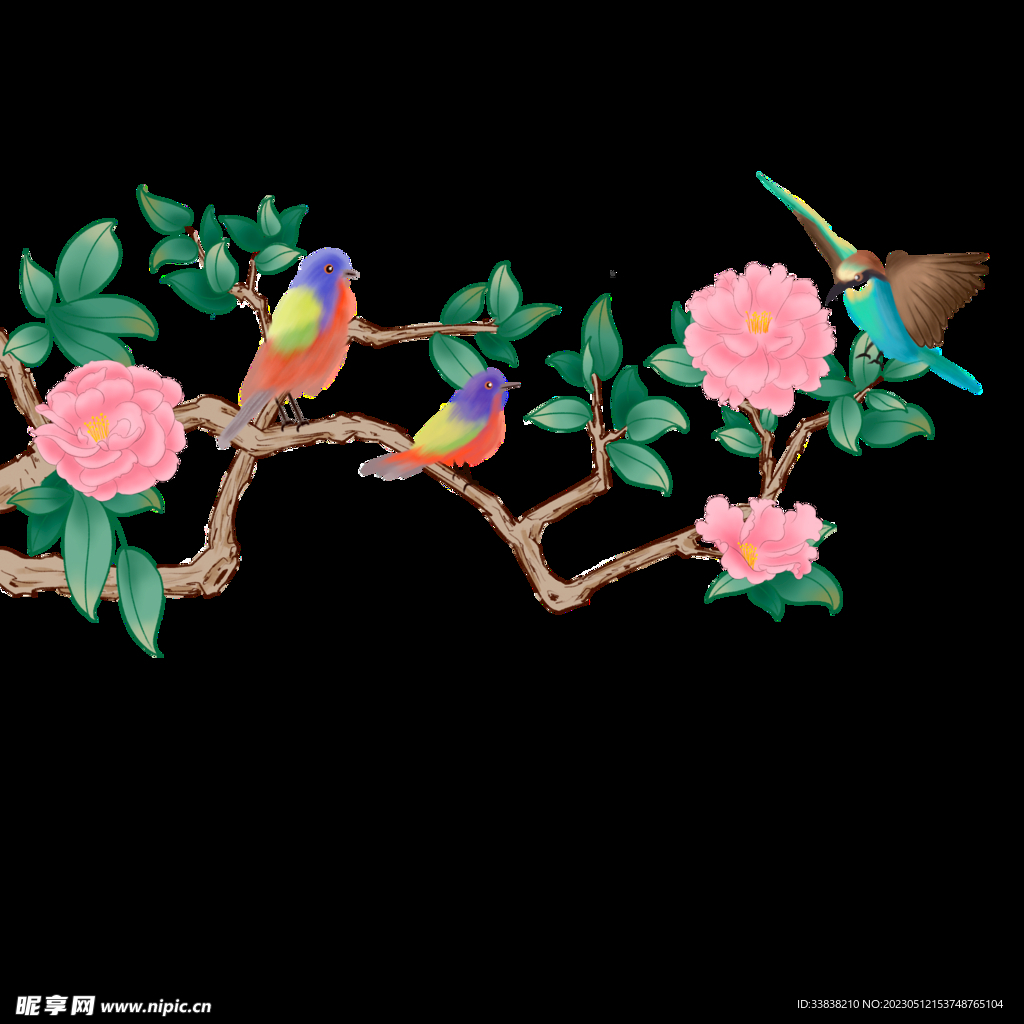 小鸟