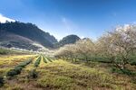 山村田地