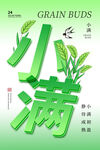 小满节气