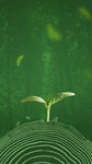 植树节 