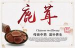 鹿茸