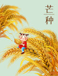 芒种素材