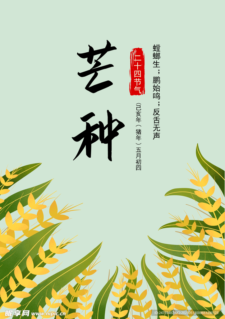 芒种素材