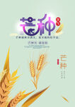 芒种素材