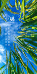 小满节气海报
