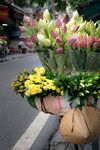 自行车尾的鲜花