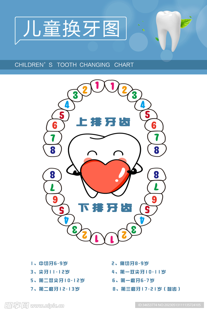 儿童换牙图