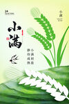小满节气 