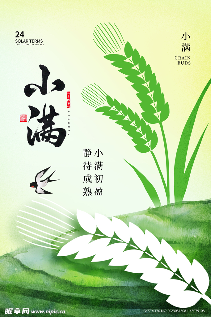 小满节气 