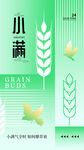 小满节气 