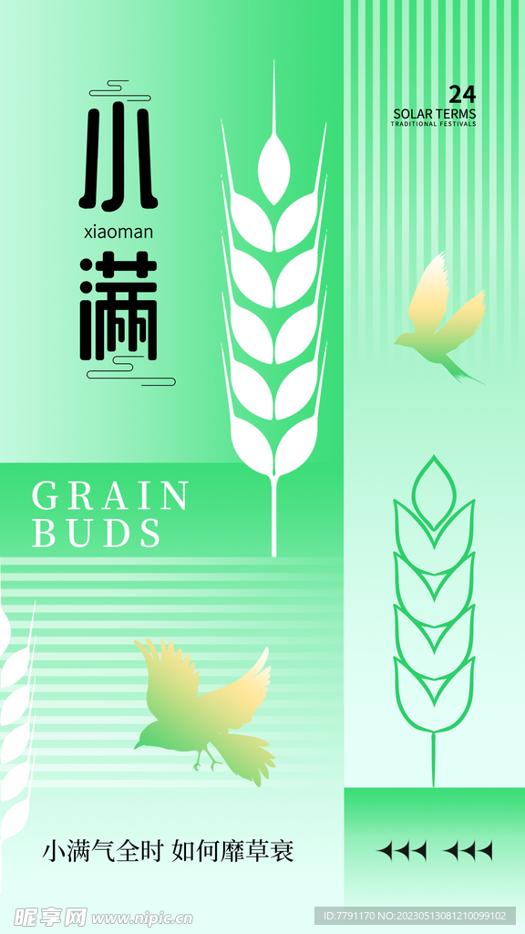 小满节气 