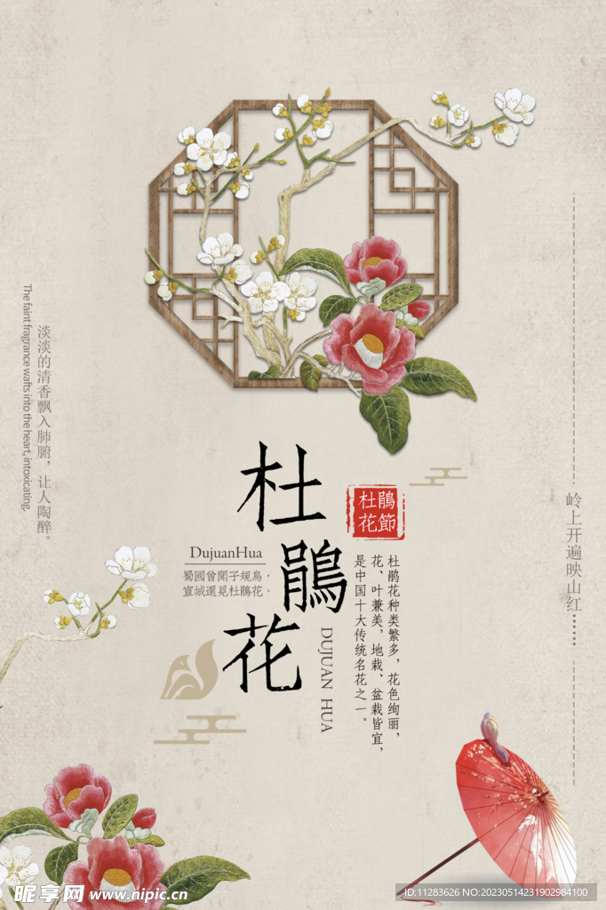 国风花鸟海报