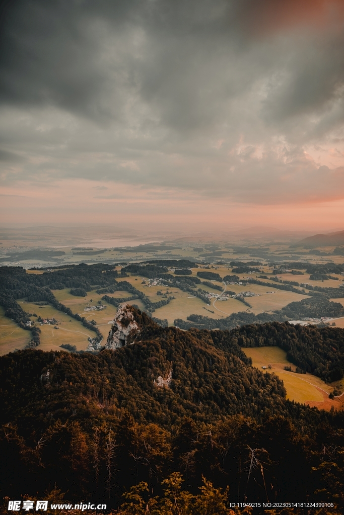 树林风景