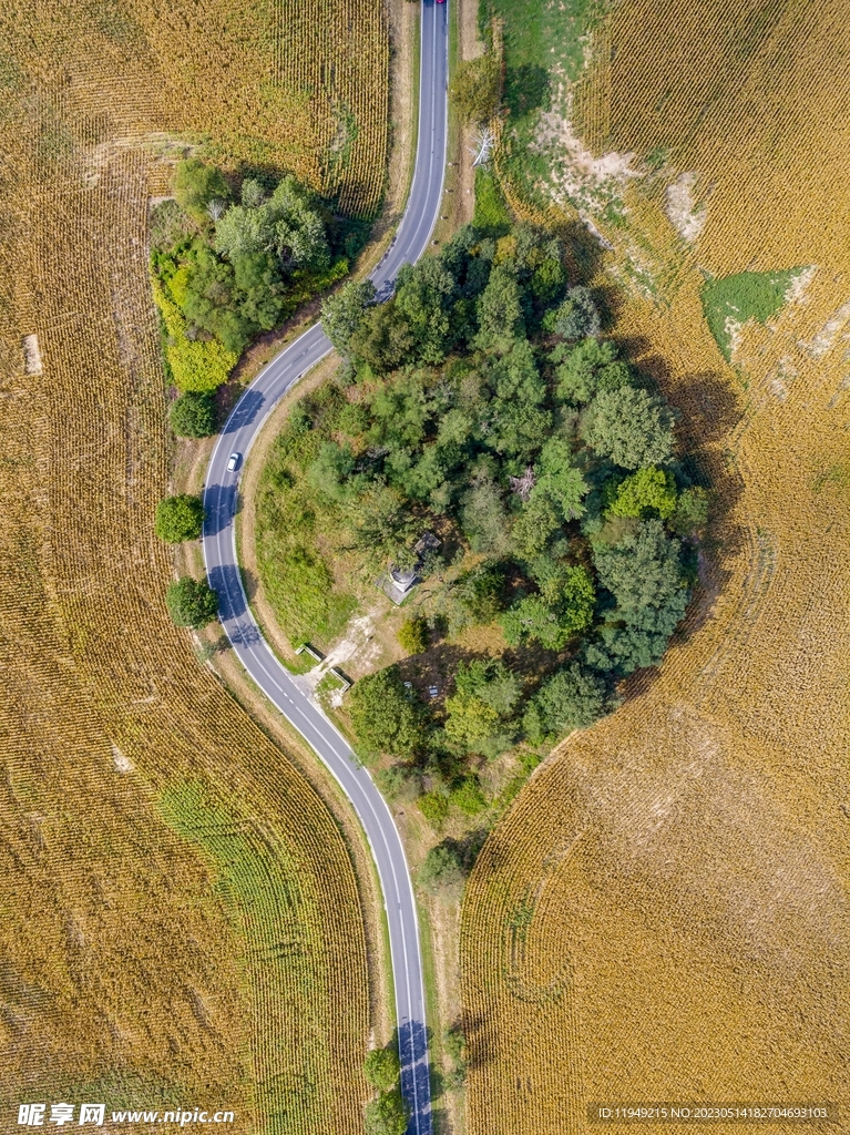  道路
