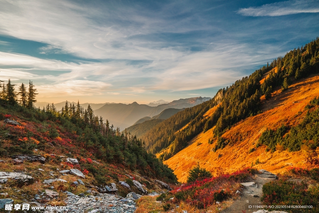 白雾下的山峰 