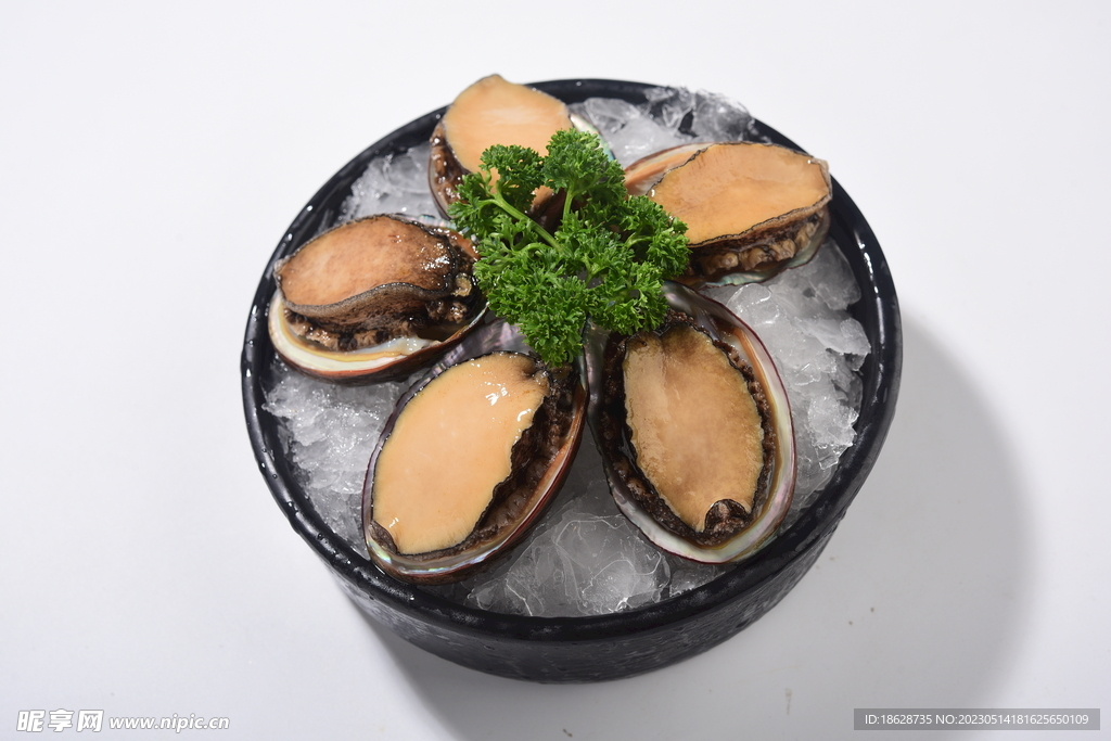 小鲍鱼