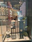 陶瓷花瓶橱窗