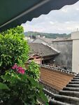 阳台花卉