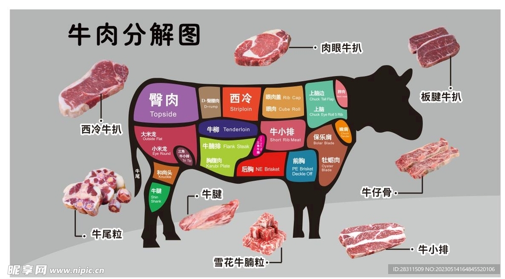 牛肉分割图