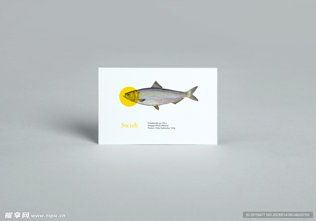 鱼类海鲜餐饮贴图