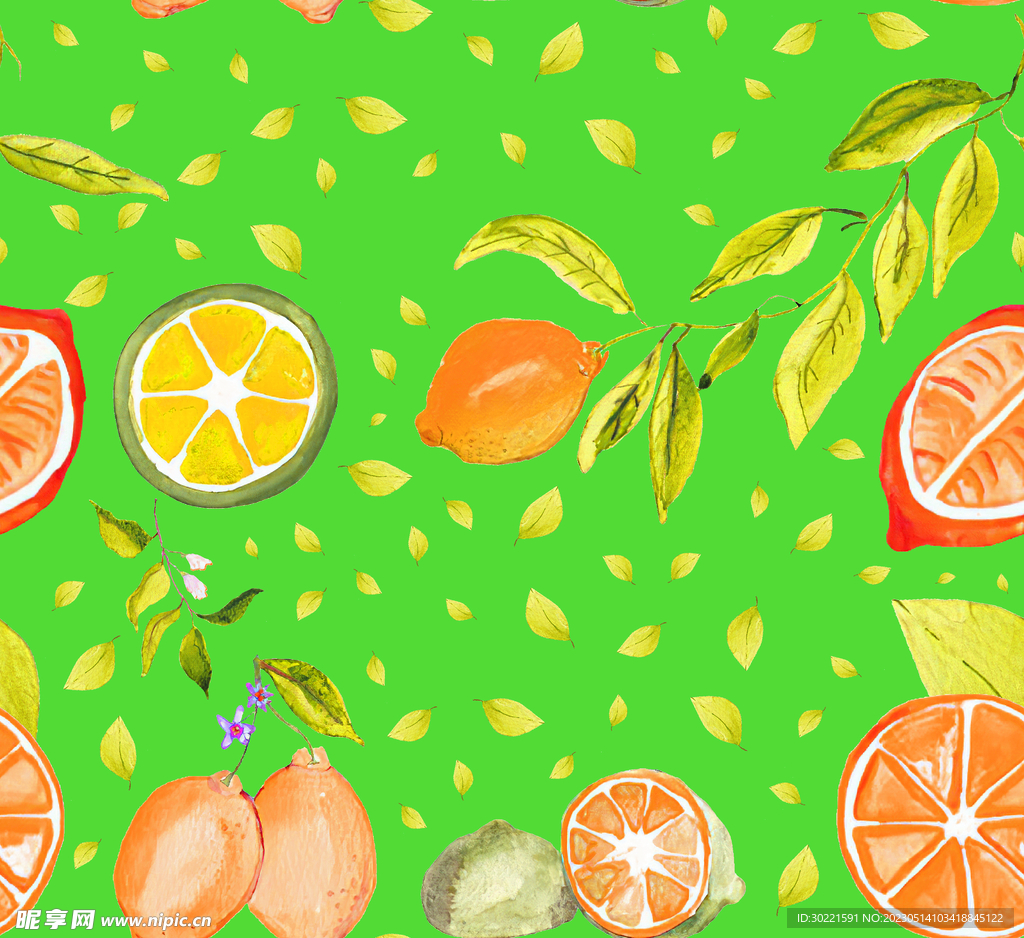 橙子 叶子 水果