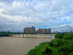 城市绿化