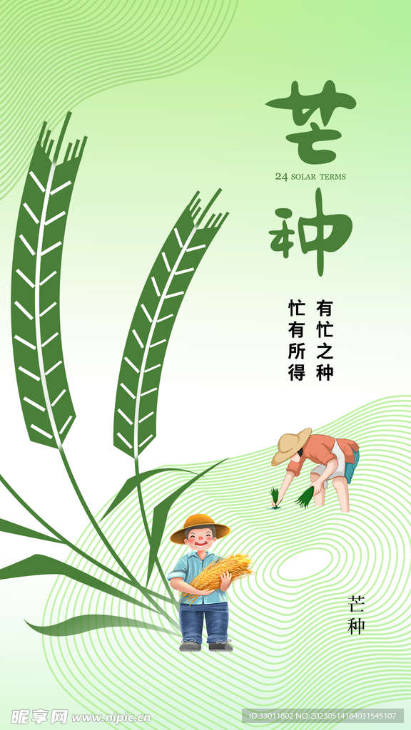 芒种