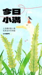 小满