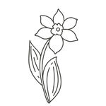 水仙花线稿