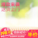 淘宝主图 