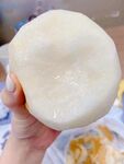 贡梨