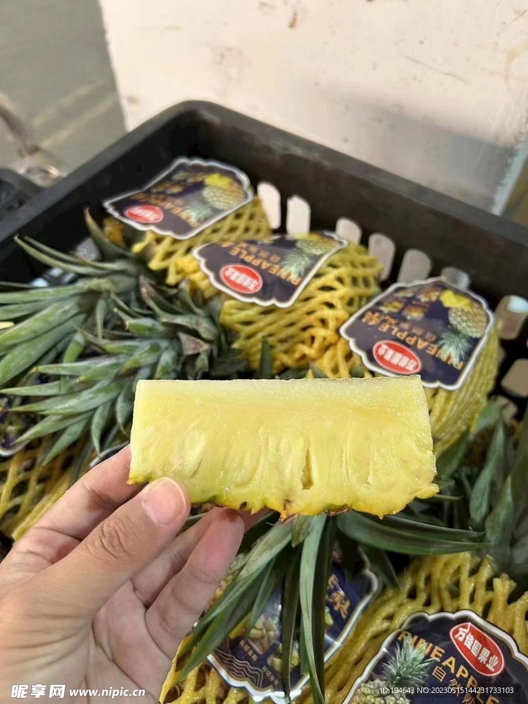 菠萝