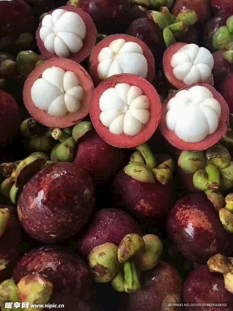 山竹