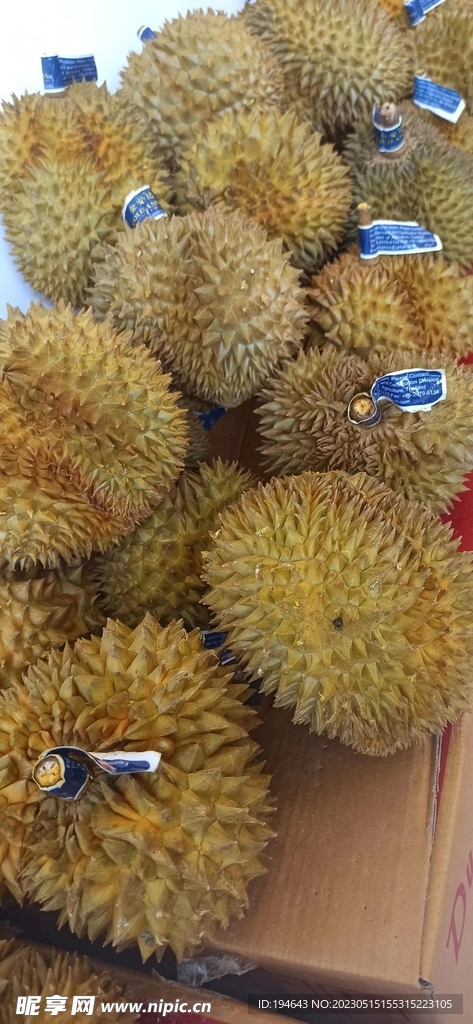 榴莲 