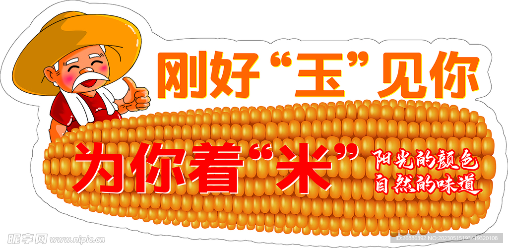 玉米