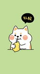 小猫