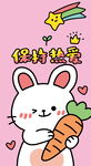 可爱小兔