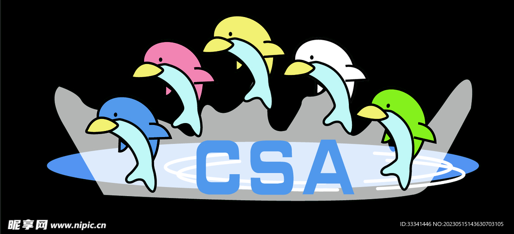 海豚CSA