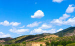 山