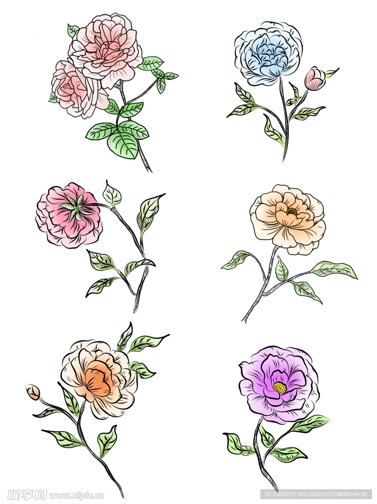 花卉