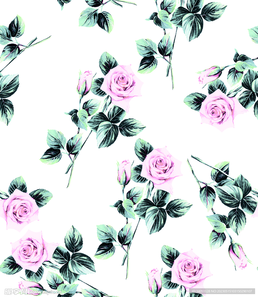 玫瑰花 手绘花