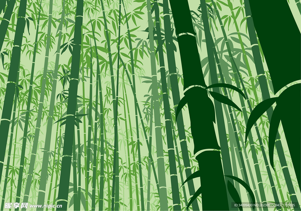 竹子背景