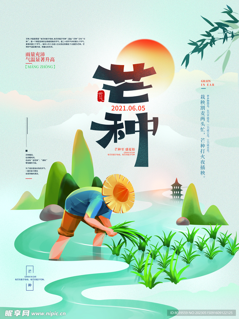 芒种