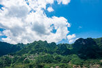 青山