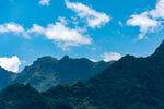 青山