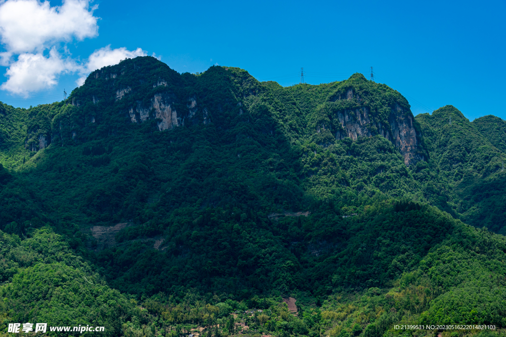 青山